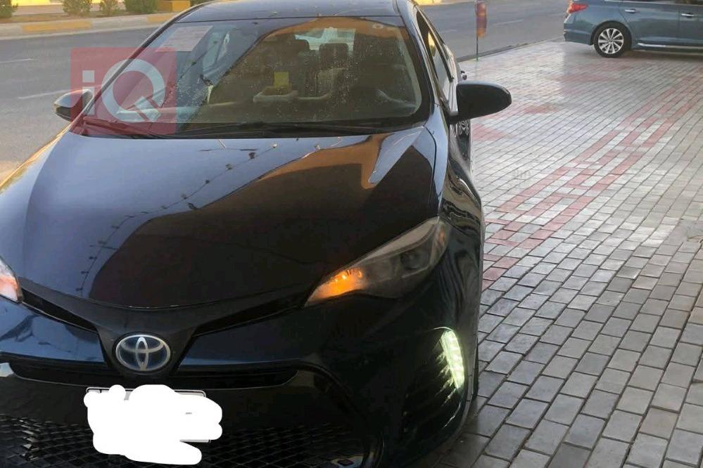 تويوتا كورولا